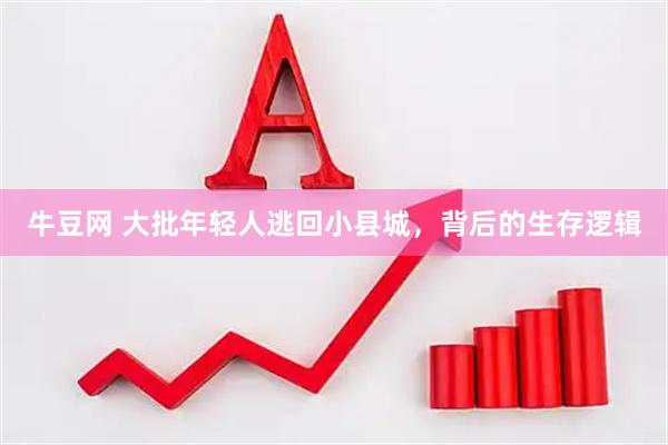 牛豆网 大批年轻人逃回小县城，背后的生存逻辑