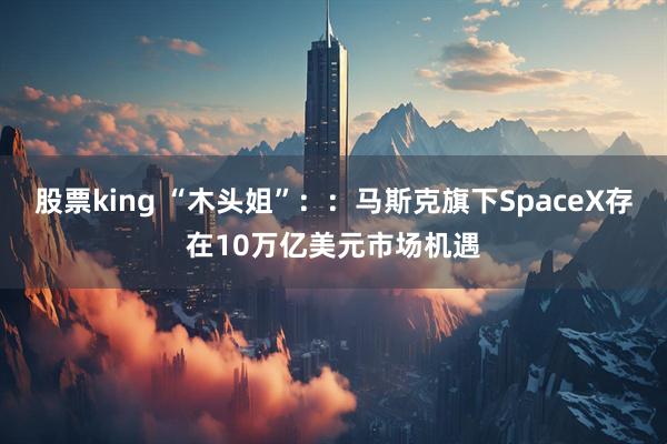 股票king “木头姐”：：马斯克旗下SpaceX存在10万亿美元市场机遇