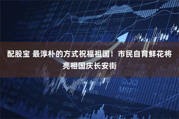 配股宝 最淳朴的方式祝福祖国！市民自育鲜花将亮相国庆长安街